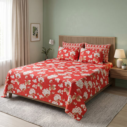 SM-128: Cotton Bedsheet with 4 Pillows
